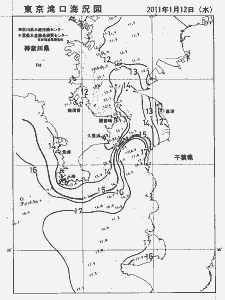 東京湾口海況図(2011/01/12)