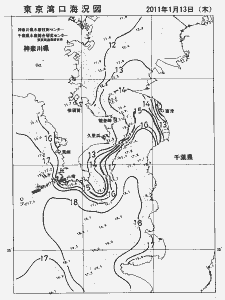 東京湾口海況図(2011/01/13)