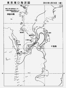 東京湾口海況図(2011/01/14)