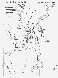 東京湾口海況図(2011/01/15)