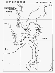 東京湾口海況図(2011/01/17)
