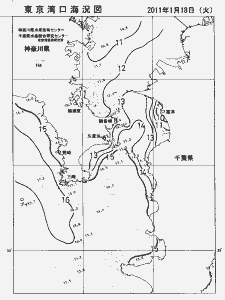 東京湾口海況図(2011/01/18)