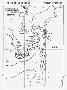 東京湾口海況図(2011/01/20)