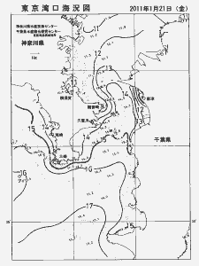 東京湾口海況図(2011/01/21)