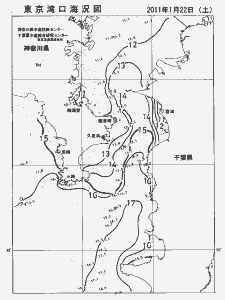東京湾口海況図(2011/01/22)