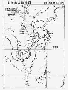 東京湾口海況図(2011/01/24)