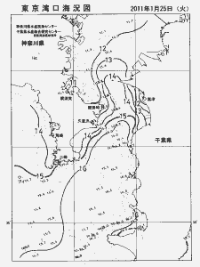 東京湾口海況図(2011/01/25)