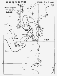 東京湾口海況図(2011/01/28)