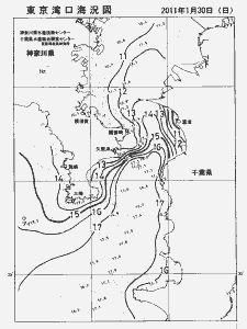 東京湾口海況図(2011/01/30)