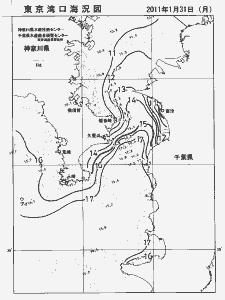 東京湾口海況図(2011/01/31)