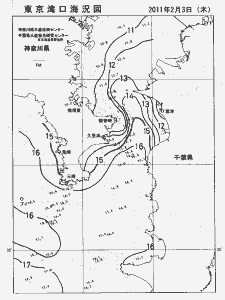 東京湾口海況図(2011/02/03)