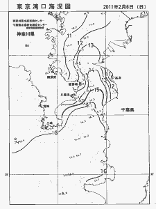 東京湾口海況図(2011/02/06)