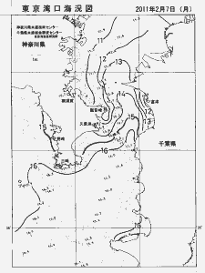 東京湾口海況図(2011/02/07)