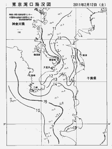 東京湾口海況図(2011/02/12)