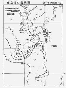 東京湾口海況図(2011/02/13)
