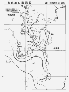 東京湾口海況図(2011/02/16)