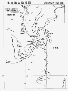 東京湾口海況図(2011/02/19)