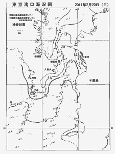 東京湾口海況図(2011/02/20)