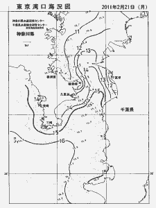 東京湾口海況図(2011/02/21)