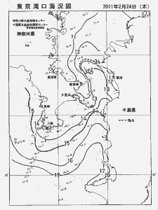 東京湾口海況図(2011/02/24)