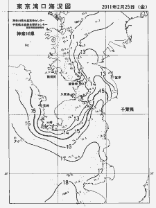 東京湾口海況図(2011/02/25)