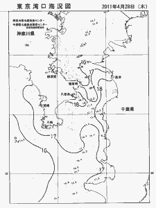 東京湾口海況図(2011/04/28)