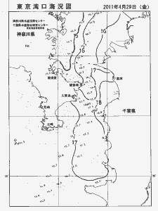 東京湾口海況図(2011/04/29)