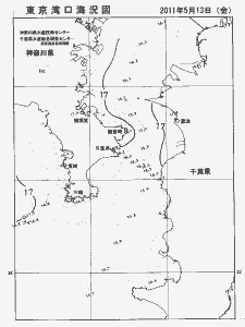 東京湾口海況図(2011/05/13)