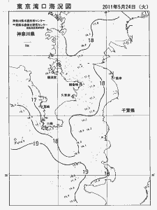 東京湾口海況図(2011/05/24)