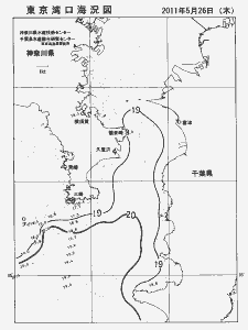 東京湾口海況図(2011/05/26)
