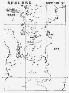 東京湾口海況図(2011/06/03)