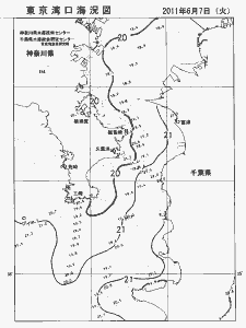 東京湾口海況図(2011/06/07)