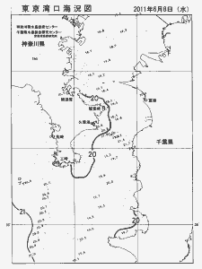 東京湾口海況図(2011/06/08)