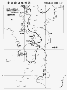 東京湾口海況図(2011/06/11)