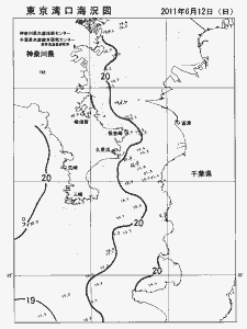 東京湾口海況図(2011/06/12)