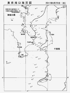 東京湾口海況図(2011/06/15)