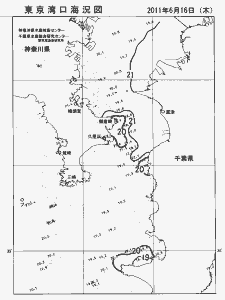 東京湾口海況図(2011/06/16)