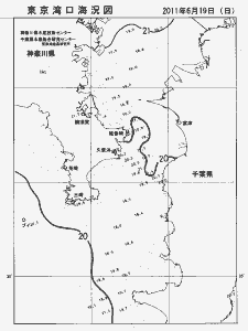 東京湾口海況図(2011/06/19)