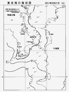 東京湾口海況図(2011/06/21)