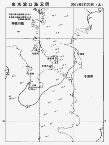東京湾口海況図(2011/06/23)