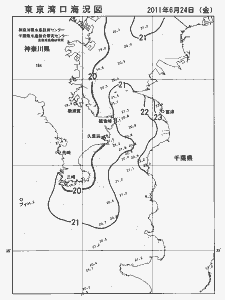 東京湾口海況図(2011/06/24)