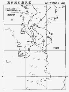 東京湾口海況図(2011/06/25)