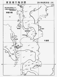 東京湾口海況図(2011/06/30)