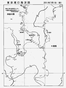 東京湾口海況図(2011/07/01)