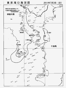 東京湾口海況図(2011/07/03)