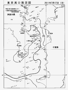 東京湾口海況図(2011/07/17)