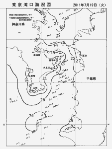 東京湾口海況図(2011/07/19)