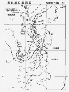 東京湾口海況図(2011/08/09)