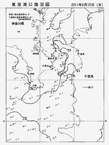 東京湾口海況図(2011/08/10)