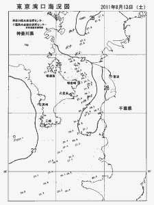 東京湾口海況図(2011/08/13)